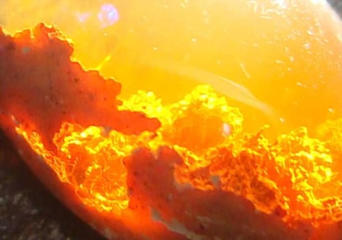Are opals alive?
